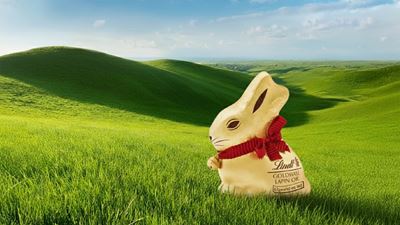 Le lapin de Lindt en pleine nature