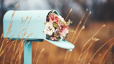 Une boîte aux lettres avec un bouquet de fleurs à l’intérieur